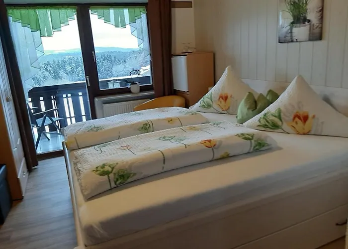 Erna Pensjonat 4*