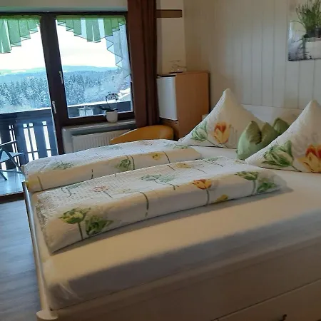 Erna Pensionat 4*