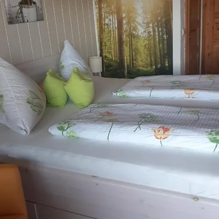 Erna 4*