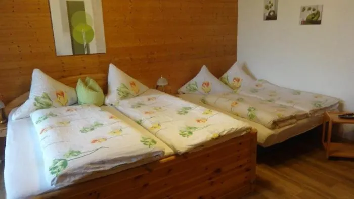 Erna Гостевой дом 4*