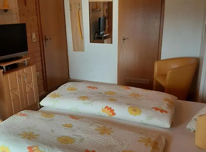 Erna Гостевой дом 4*
