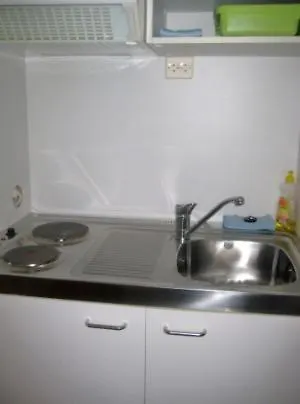 Erna 4*